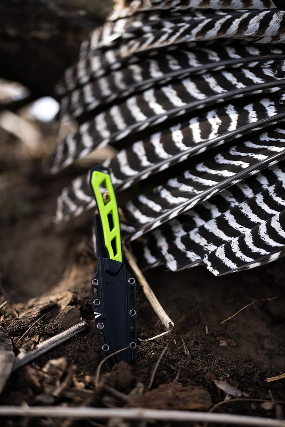 Schrade Delta Class Isolate Caper Fixed Blade 7.5in with 3in AUS-10 Steel Blade and Non-Slip Grip for Hunting