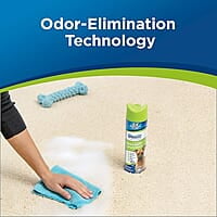 Woolite Heavy Traffic Carpet Foam Cleaner with ScotchGuard Protector, 22 Oz