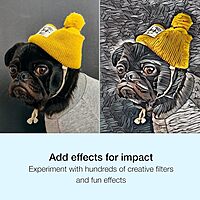 Corel PaintShop Pro 2023 | Powerful Photo Editing & Graphic Design Software [PC Key Card] PC Key Card Pro