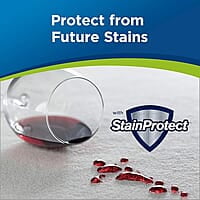 Woolite Heavy Traffic Carpet Foam Cleaner with ScotchGuard Protector, 22 Oz