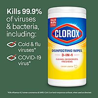 Clorox Disinfecting Wipes Value Pack, Cleaning Wipes, 75 Count Each, Pack of 3 (Package May Vary) Standard Packaging