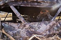 BOG Prevail Sitting Height Ground Blind Mossy Oak with StealthZip Silent Zippers, StealthTrac Silent Windows