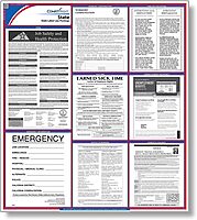 ComplyRight State Labor Law Poster, English, Georgia