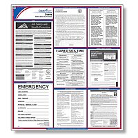 ComplyRight State Labor Law Poster, English, Georgia