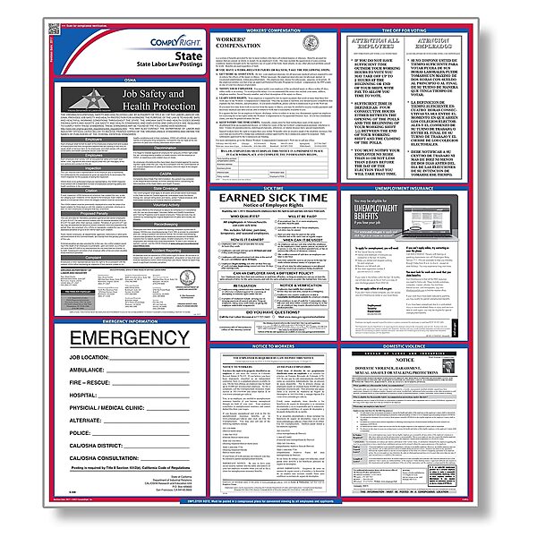 ComplyRight State Labor Law Poster, English, Georgia