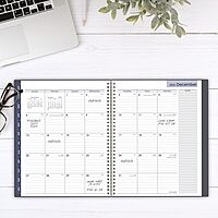 AT-A-GLANCE 2026 Appointment Book Planner, Weekly & Monthly, 8-1/2" x 11", Large, Quarter-Hourly, DayMinder