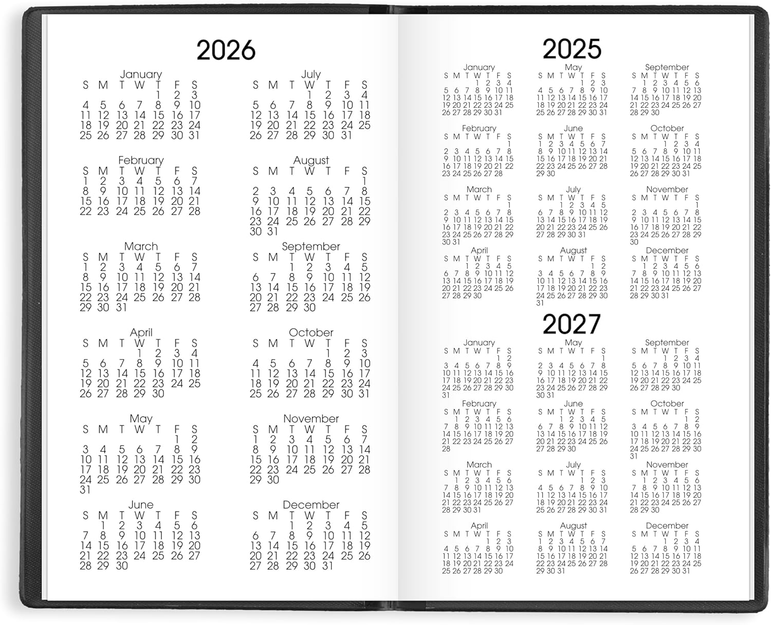 AT-A-GLANCE 2026 Planner, Monthly, 3-1/2" x 6", Pocket Size, DayMinder, Black (SK530026) 2026 New Edition