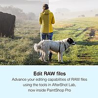 Corel PaintShop Pro 2023 | Powerful Photo Editing & Graphic Design Software [PC Key Card] PC Key Card Pro