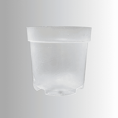 Shrub Clear Plastic Pot 9cm