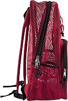 SUMMIT RIDGE Reflective Mesh Backpack with Wire Frame (18 x 13 x 5.5 in)