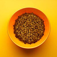 Alimento Premium para Perro Adulto Razas PEQUEÑA
