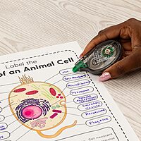 Tombow 68620 MONO Correction Tape, Non-Refillable, 1/6" x 394", White Tape 1 Count (Pack of 1)