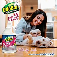 OdoBan Pet Solutions No Rinse Neutral pH Floor Cleaner Concentrate, 1 Gallon Citrus 128 Fl Oz (Pack of 1)