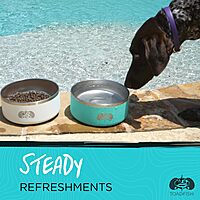 TOADFISH Non-Tipping Dog Bowl - Double-Walled Stainless Steel with SmartGrip
