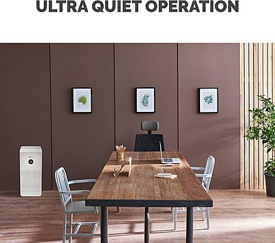 Fellowes 9794601 AeraMax SE 3-Speed Large Room Air Purifier with True HEPA Air Filter and 3-Stage Allergen and Odor Purification, 915 Sq. Ft. Coverage 1 Year Filter Life