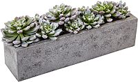 Nearly Natural Succulent 5-1/2inH Plastic Garden With Textured Concrete Planter, 5-1/2inH x 13-1/2inW x 4-1/2inD, Green