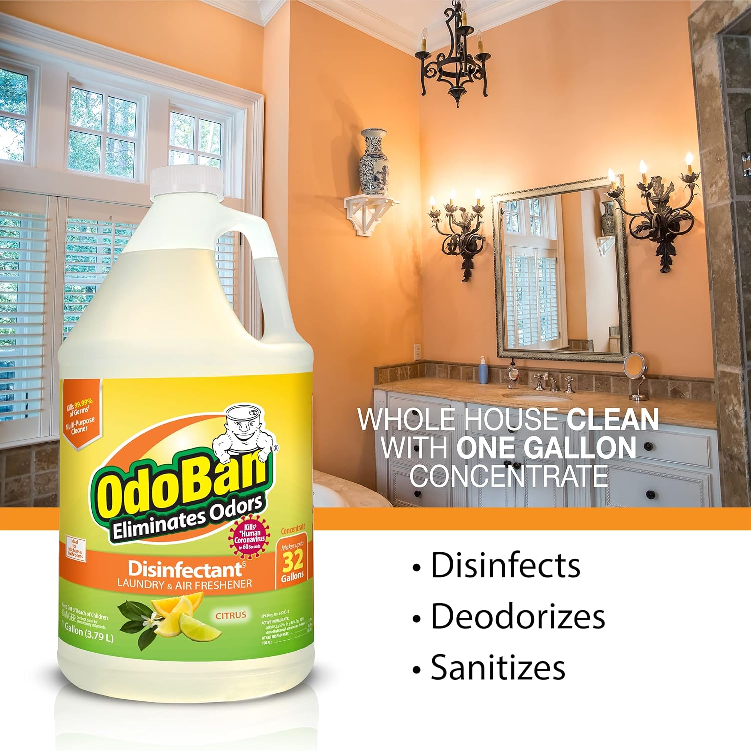 OdoBan Disinfectant Concentrate and Odor Eliminator, 1 Gallon, Citrus Scent 1 Count (Pack of 1)