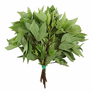 Gongura Leaf