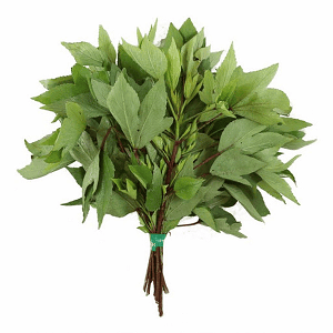 Gongura Leaf