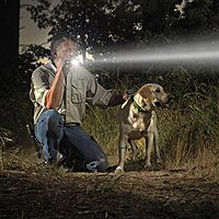 MAGLITE Heavy-Duty 5-D Cell Incandescent Flashlight