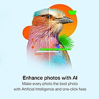 Corel PaintShop Pro 2023 | Powerful Photo Editing & Graphic Design Software [PC Key Card] PC Key Card Pro