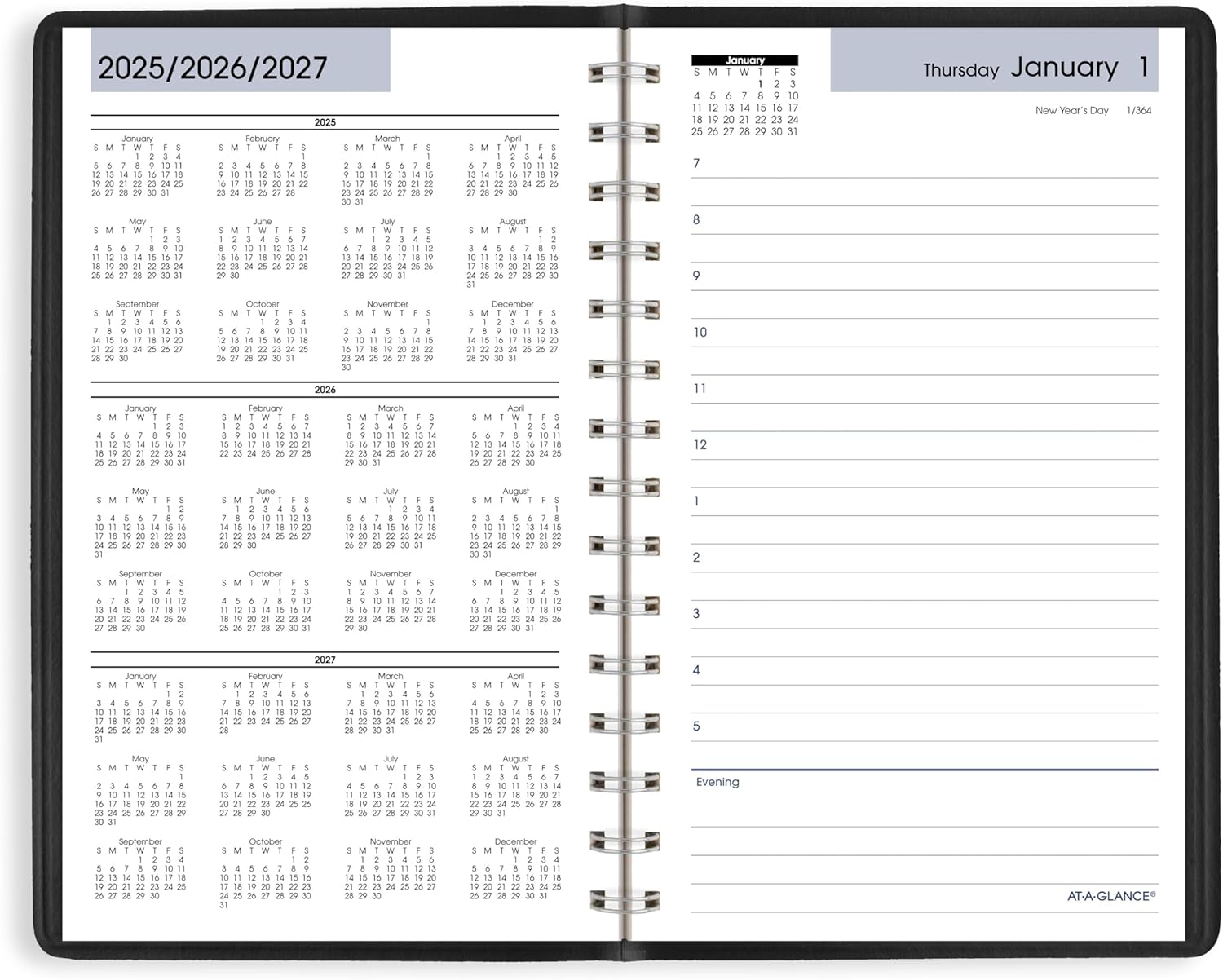 AT-A-GLANCE 2026 Appointment Book Planner, Daily, 5" x 8", Small, Hourly, DayMinder, Black (SK440026)