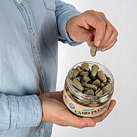 MOLDEX Uncorded Disposable Foam Earplug Jar