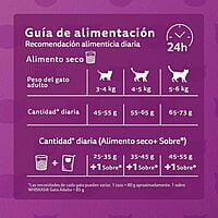 Whiskas - Whiskas Whiskas alimento para Gatos Adultos Sabor Carne Receta Orginal 9Kg Violeta