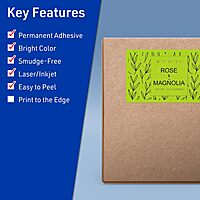 Avery Printable Rectangle Labels, Sure Feed Technology, 5" x 6", Bright Green, Laser/Inkjet Printable