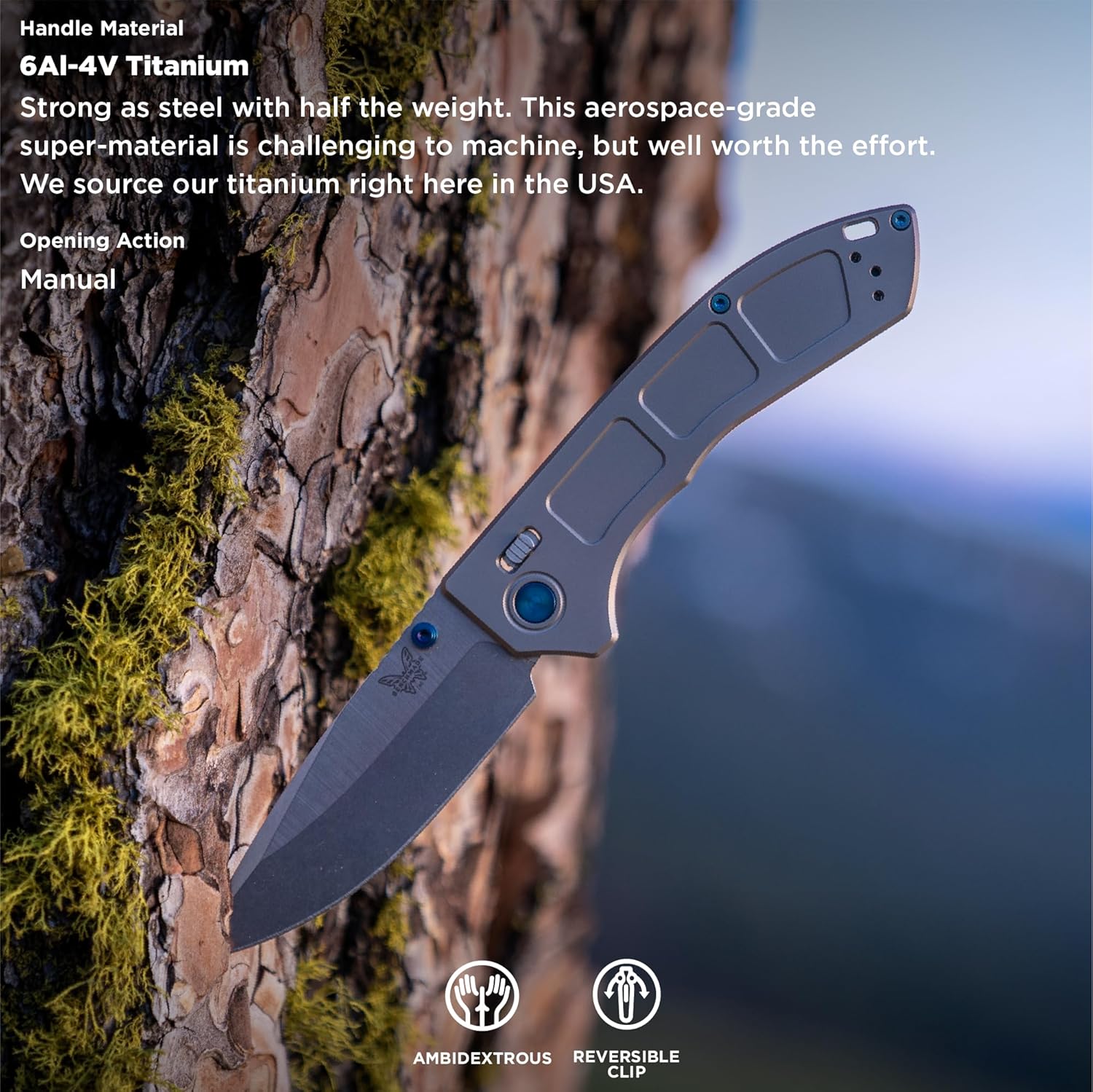 Benchmade - Narrows 748 EDC Knife with Gray Titanium Handle (748)