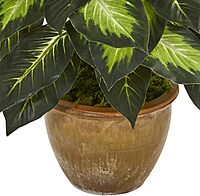 Nearly Natural 18inH Dieffenbachia Artificial Plant With Ceramic Planter, 18inH x 16inW x 16inD, Tan/Green