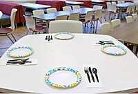 Genuine Joe Heavyweight Knife — Black, 6.3 in — 1000/Carton