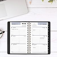 AT-A-GLANCE DayMinder Weekly Appointment Book Planner