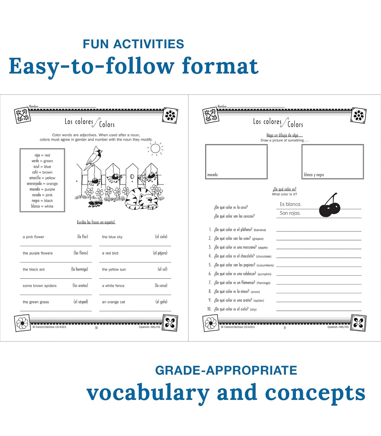 Carson Dellosa Skills for Success, Spanish Workbook for Middle School and High School Students