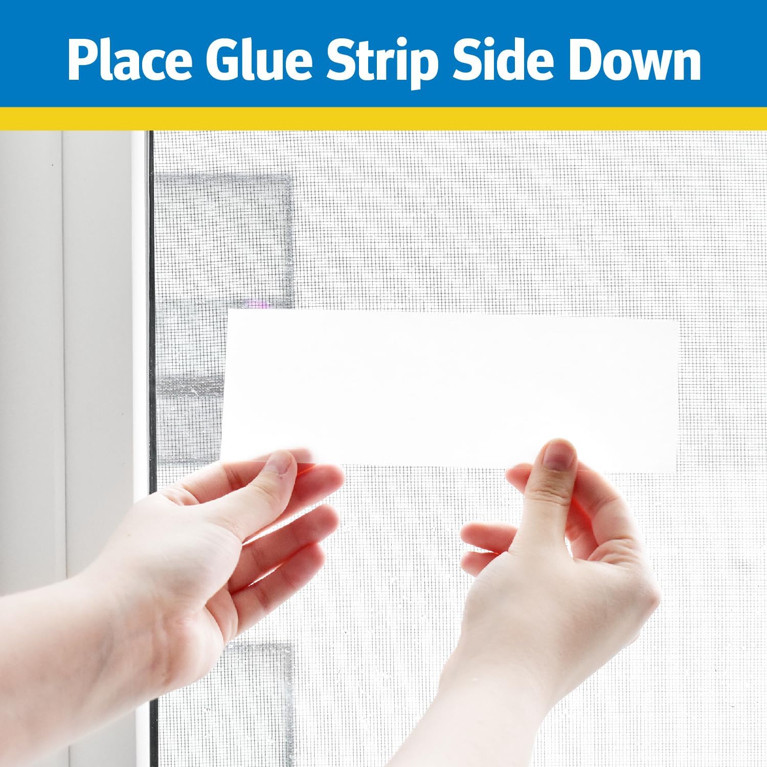 Raid Window Fly Traps, 4 Count (Pack of 4)