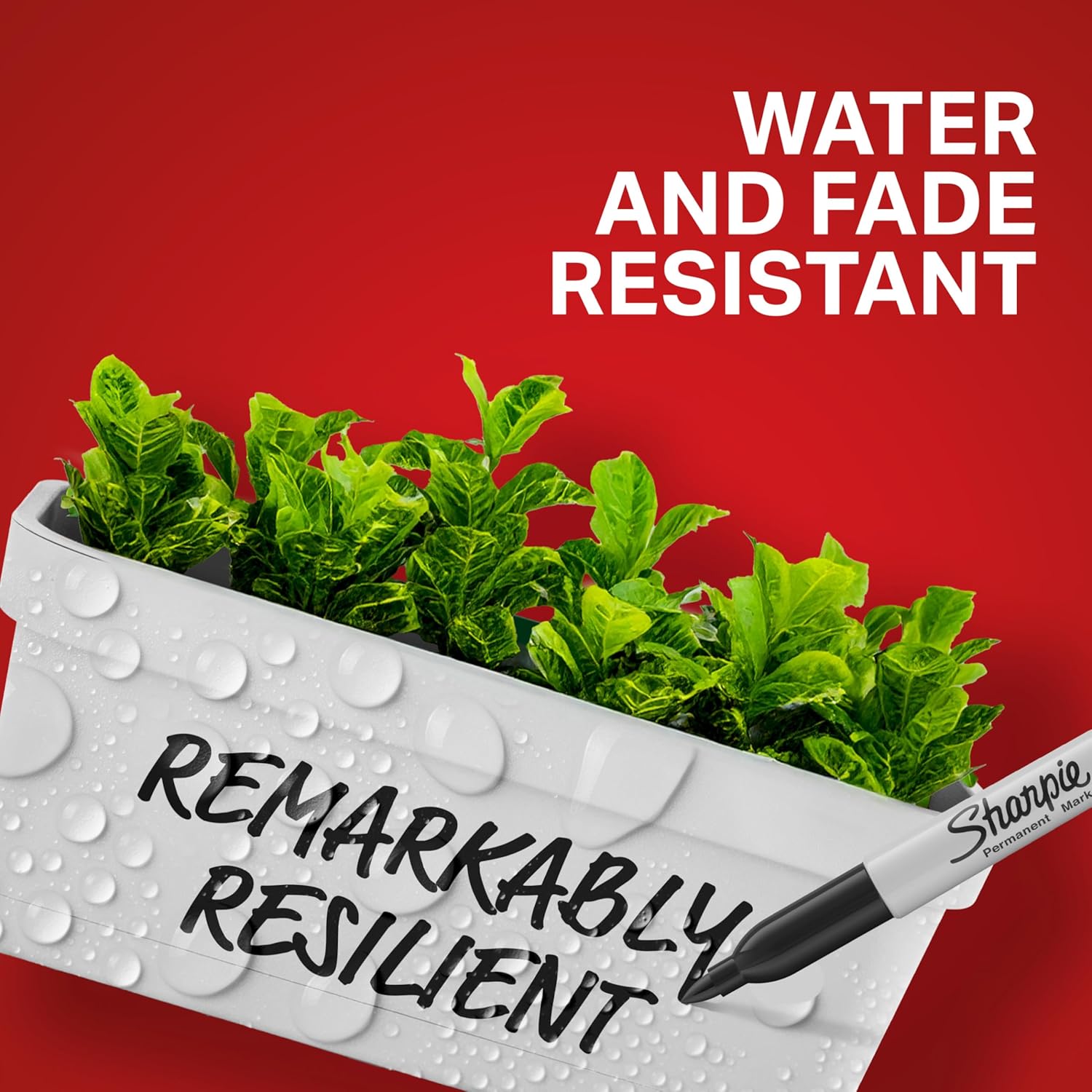 Sharpie Permanent Markers, Fine Tip, Black, 12 Count - For Classroom, Office, & Home, Quick Drying, Fade Resistant, For Wood