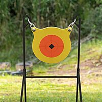 Birchwood Casey World of Targets Boomslang AR500 Steel Durable 0.5" Thick 9.5" Diameter Shooting Gong Target with Stand & Hanging Hardware