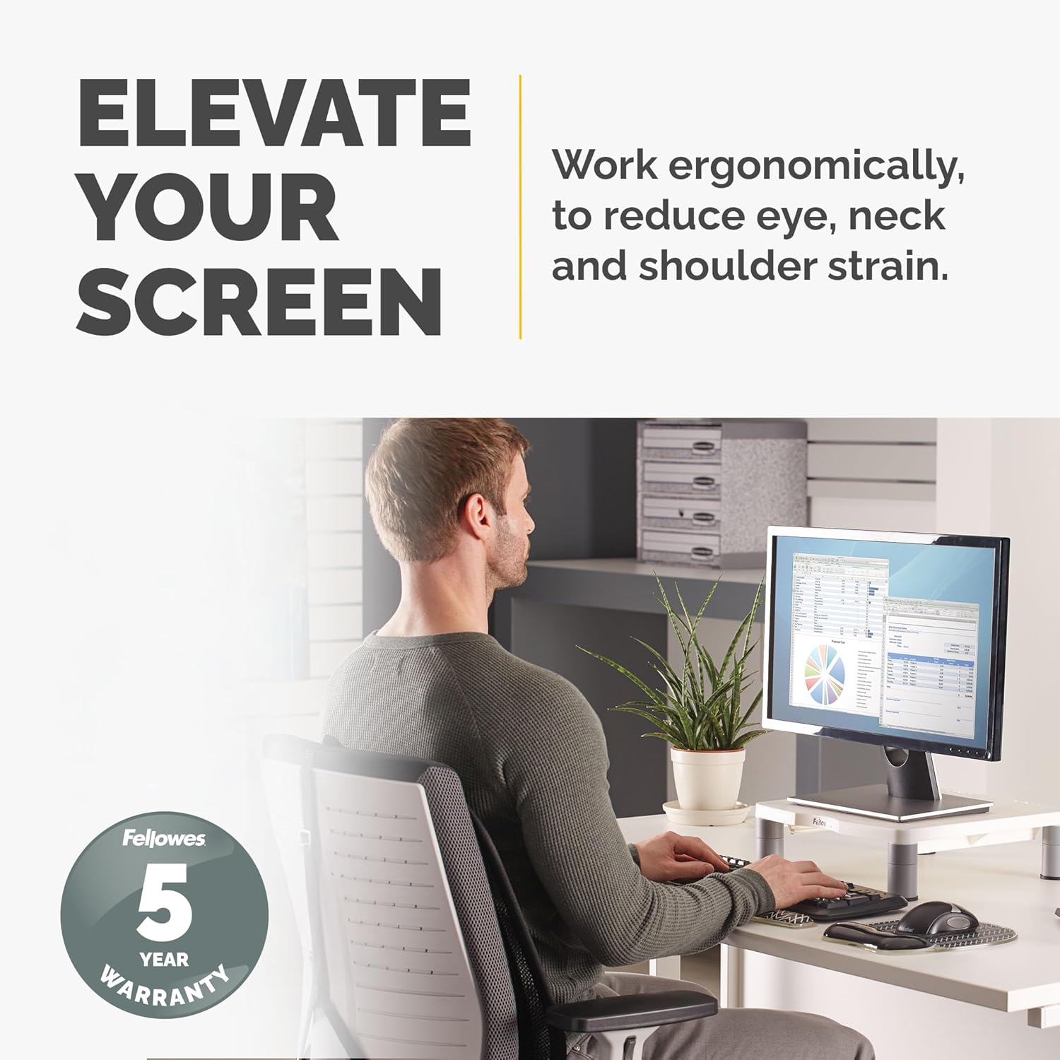 Fellowes Standard Monitor Riser (91712), Platinum/Graphite 1 Count (Pack of 1)