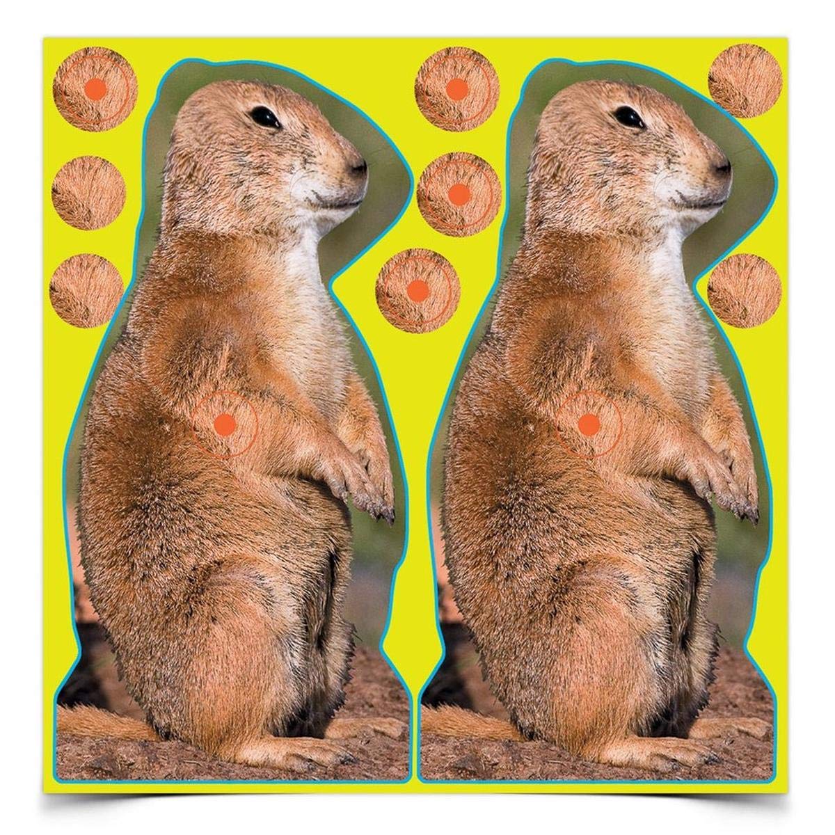 BIRCHWOOD CASEY Shoot-N-C 12" Prairie Chuck Reactive Targets - Highly Visible Instant Feedback Self-Adhesive Shooting Target