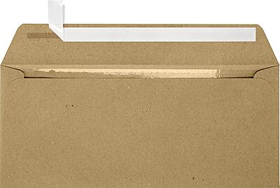 LUX #10 Full-Face Window Envelopes, Grocery Bag Brown, Peel & Press, 4 1/8" x 9 1/2", Pack of 50