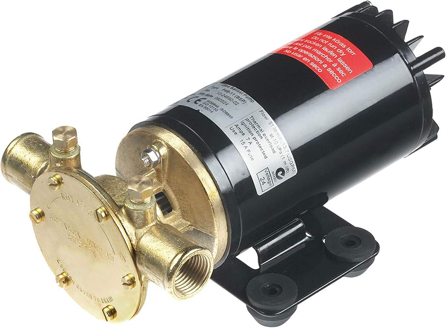 Johnson Pumps 10-24690-18 Rogue Ballast Pump 13.5 Gpm 12V, Black