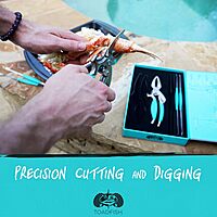 Toadfish Crab & Lobster Seafood Tool Set - 2 Shell Crackers With Cutters & 4 Multi-Use Forks - Non-Slip Grips