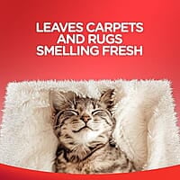 Resolve Carpet Stain Remover, Triple Action, 22 oz