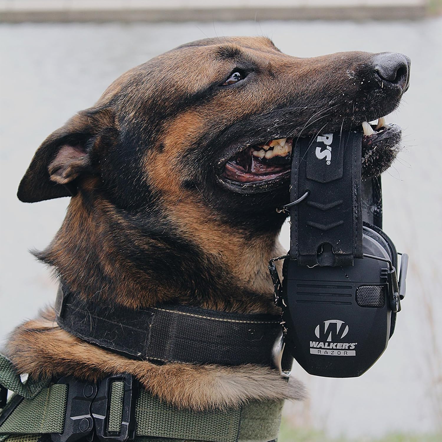 WALKER'S Razor Slim Electronic Earmuffs Ultra Low-Profile Folding Hearing Protection
