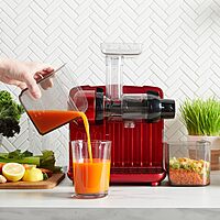 OMEGA Cold Press 365 Cube-Style Slow Masticating Juicer and Nutrition System