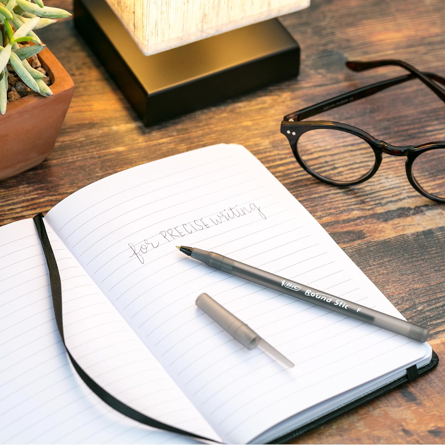 BIC Round Stic Xtra Ballpoint Pens