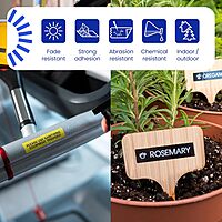 BROTHER Genuine TZe231 Laminated Label Tape 12mm Black on White