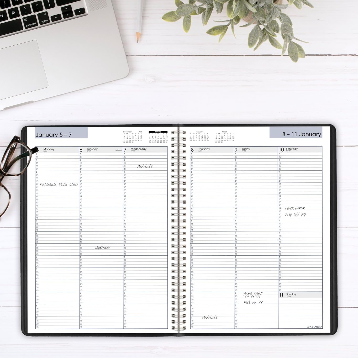 AT-A-GLANCE DayMinder Weekly Appointment Book Planner, 8" x 11", Large