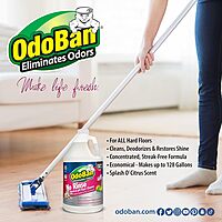 OdoBan Pet Solutions No Rinse Neutral pH Floor Cleaner Concentrate, 1 Gallon Citrus 128 Fl Oz (Pack of 1)