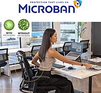 Fellowes Professional Series Back Support with Microban Protection, Black (8037601)